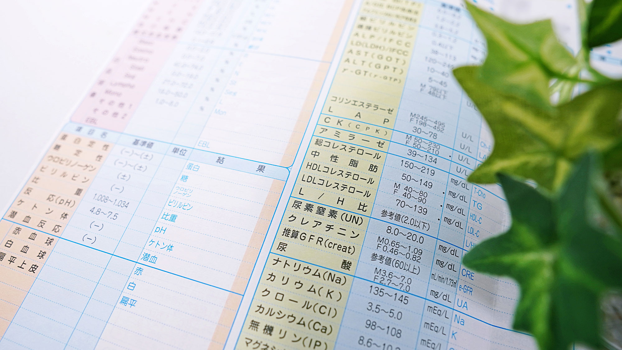 健康診断